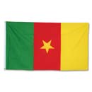 Kamerun zszl nagy
